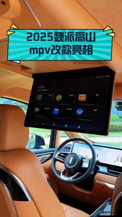 WEY 国产 MPV 最新款评测：全方位深度解析