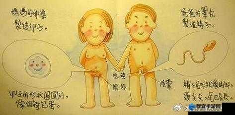 未发育孩交仙踪林：一场关于性教育的探索之旅