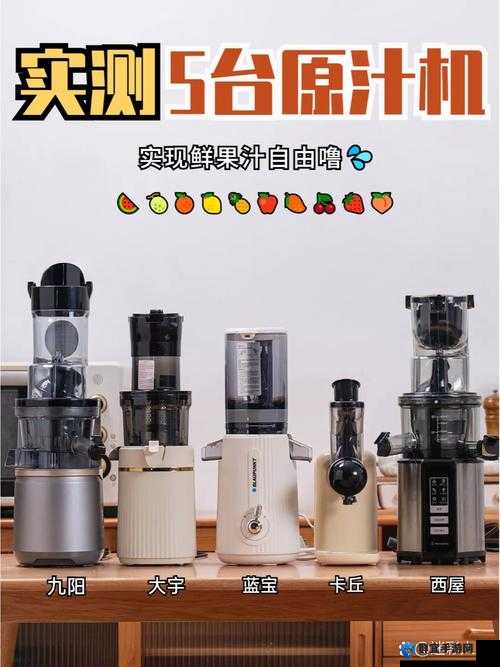 C93t 榨汁机高效榨汁新体验