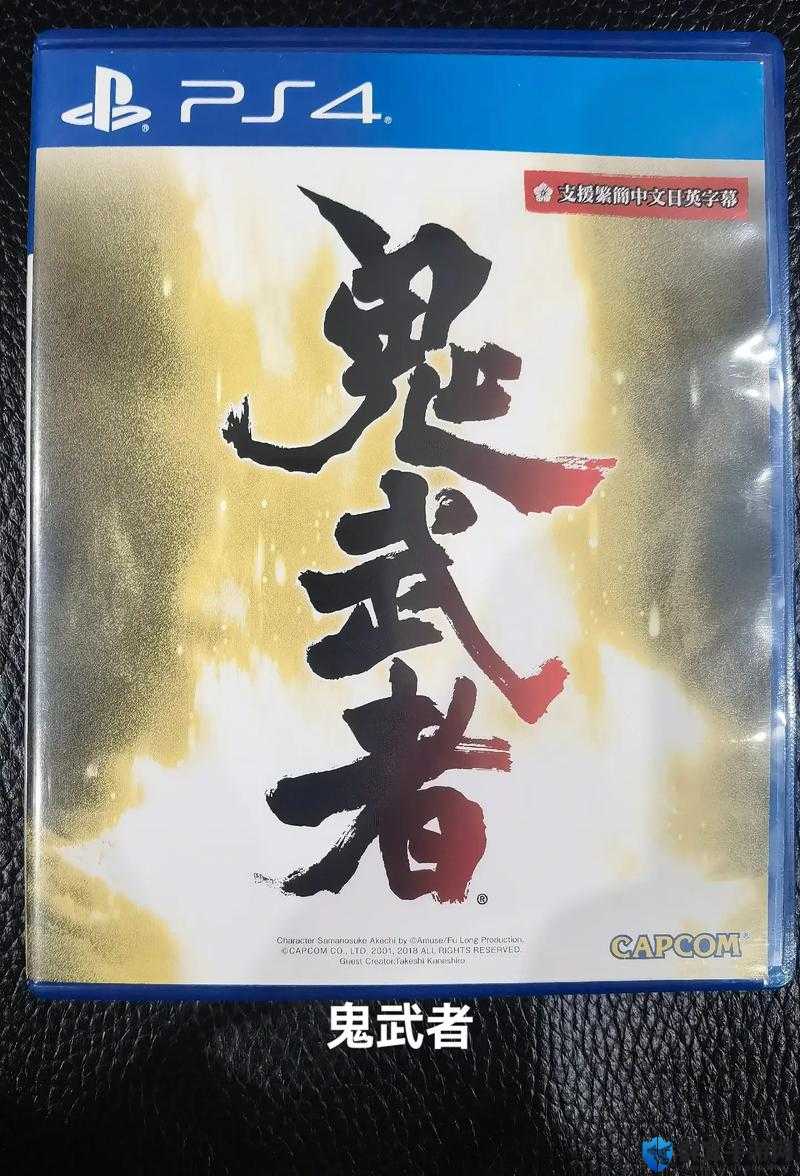 鬼武者重制版第十三章攻略，西天之地左马介图文流程