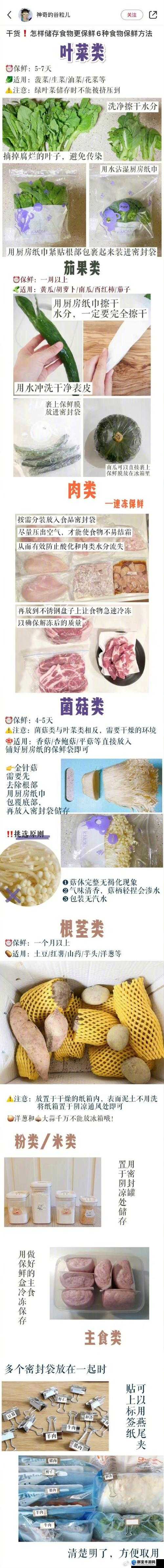 小东西好几天没弄了还能吃吗：探寻食物保存的奥秘