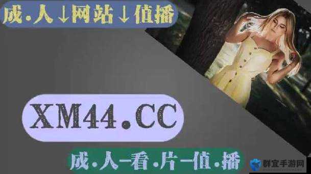 搞机time 下载不用不收钱嘉兴 v24：最新版本，体验极致科技
