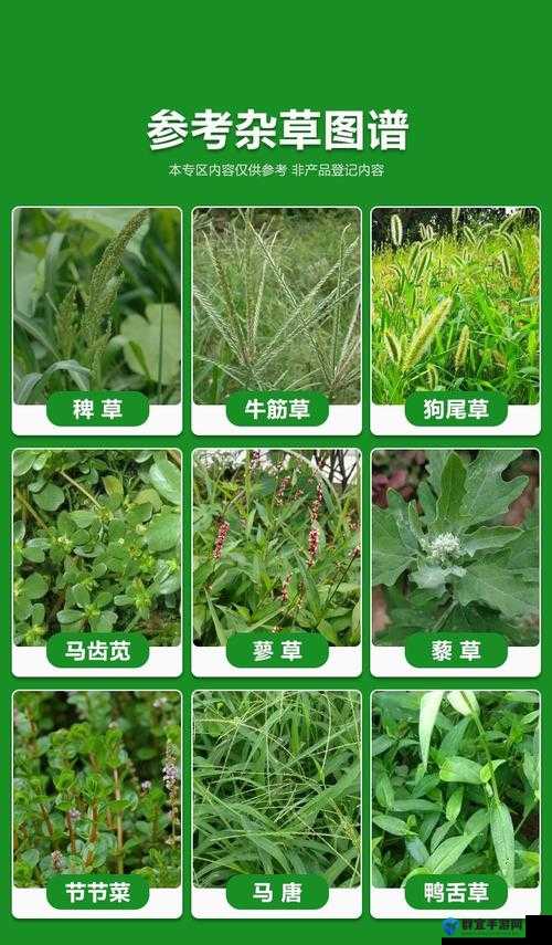 嫩草精产一二三产区相关情况及特色介绍