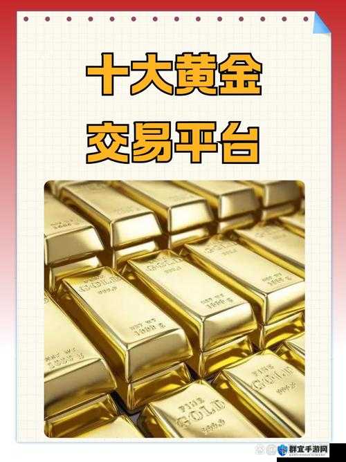 黄金网站 9.1 入口:专业黄金投资交易平台