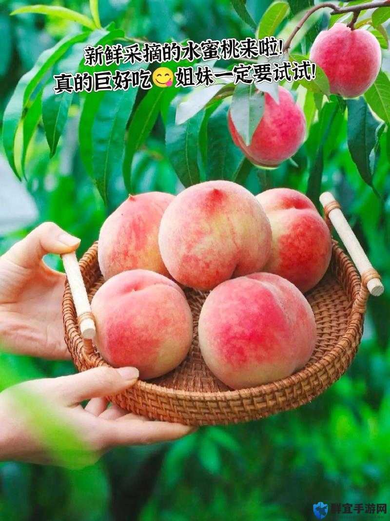日产 NV 二线三线水蜜桃：口感鲜美，多汁香甜