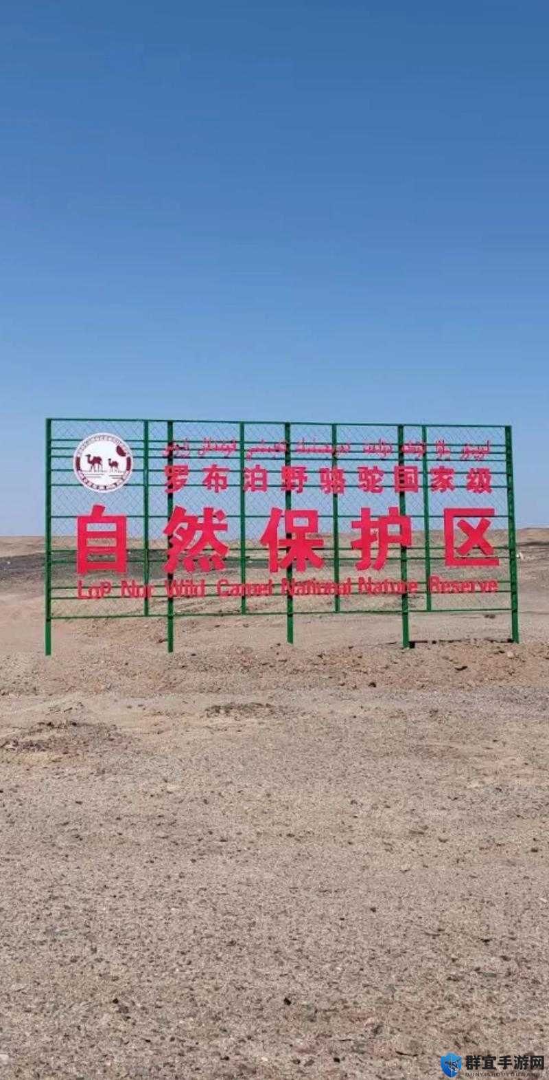 无人区一码二码三码四码区-深入探究其独特之处与内在奥秘