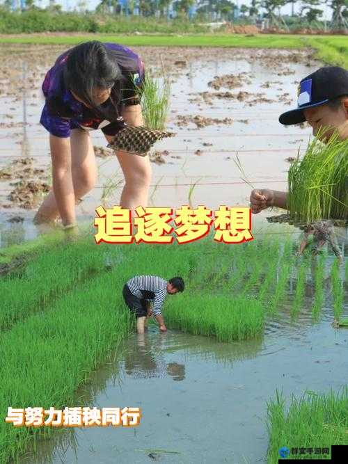 情侣插秧的 100 种方法：探索爱情与农耕的奇妙融合之旅