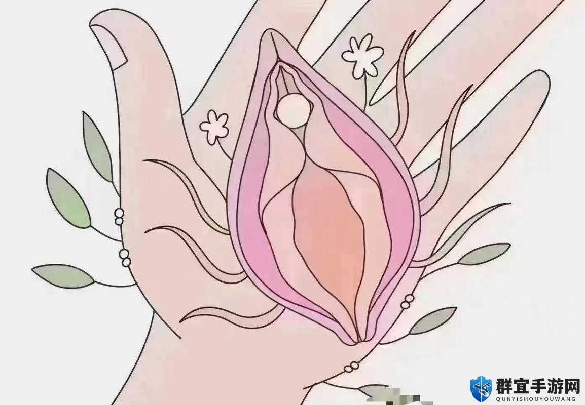 女性半夜莲花开：探秘女性身体的神秘生理现象