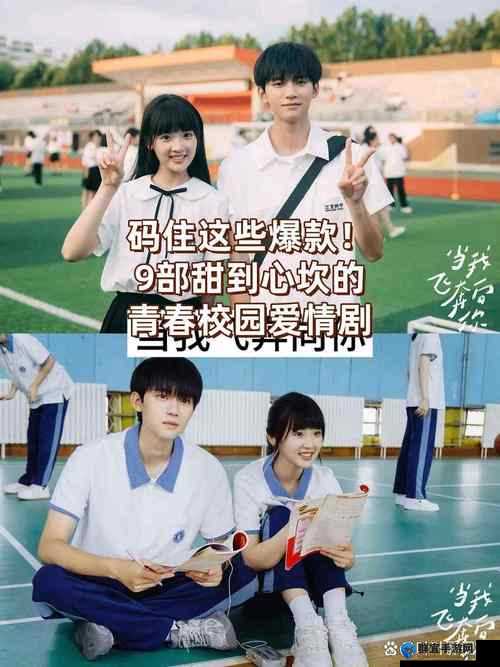 声声奶酥（校园）笔趣阁：一场青春的甜蜜冒险