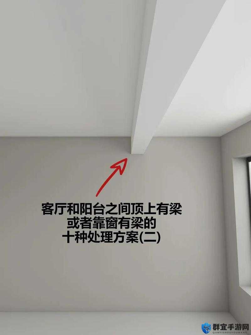 9 个野蛮的装修工：破坏与重建之间的装修风云