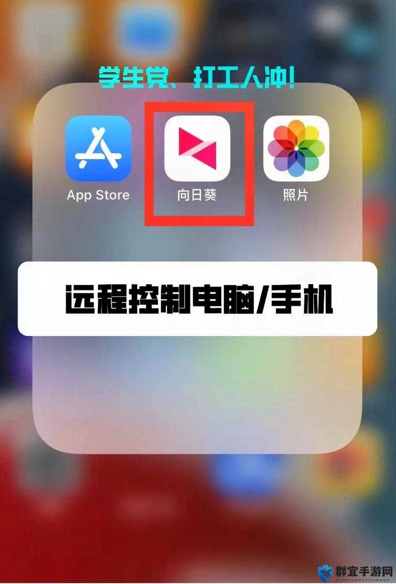 向日葵app 官方下载网址进入：开启便捷高效的服务之旅