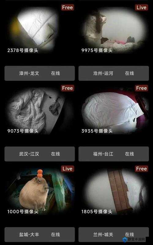 偷窥自拍 88：关于某些特殊行为的探讨与分析