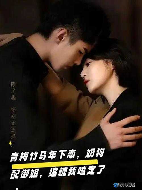 副线 cp 是奶狗御姐的电视剧：一段别样姐弟恋的精彩演绎