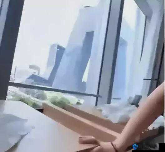张津瑜落地窗 9 分贴吧事件后续发展及相关探讨