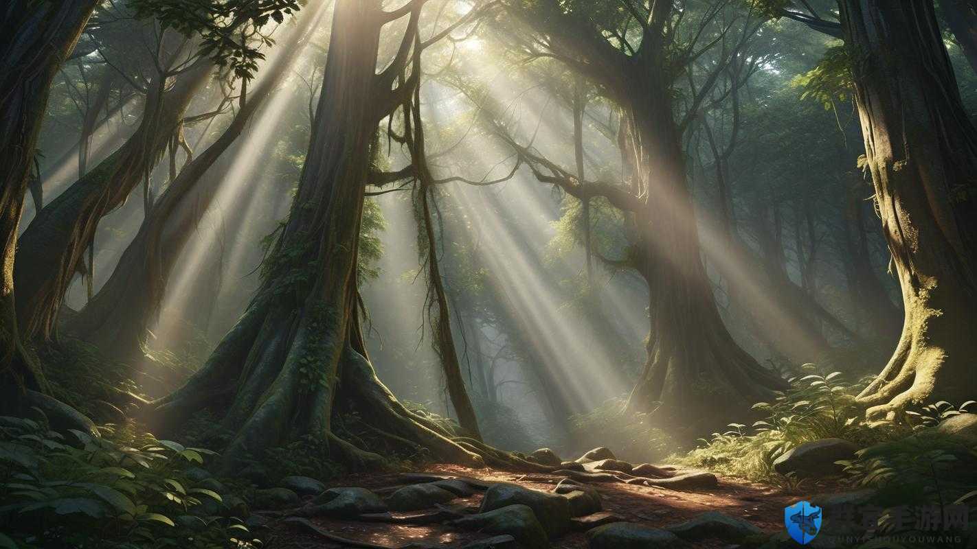 仙踪林视频：探寻那片神秘之林的独特魅力