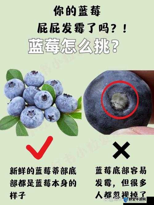 女生啊你 tm 别了蓝莓:这样真的不太好啊大家要注意啊
