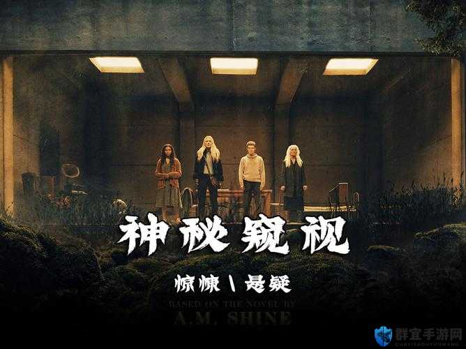 神秘的电影之探索其背后隐藏的深刻内涵与独特魅力