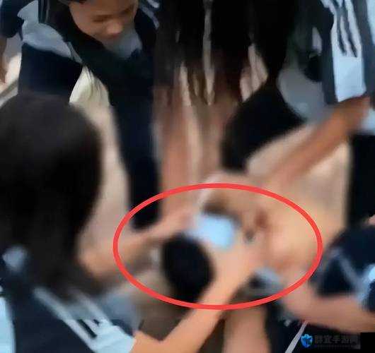 女学生被扒衣服视频相关事件引发广泛关注