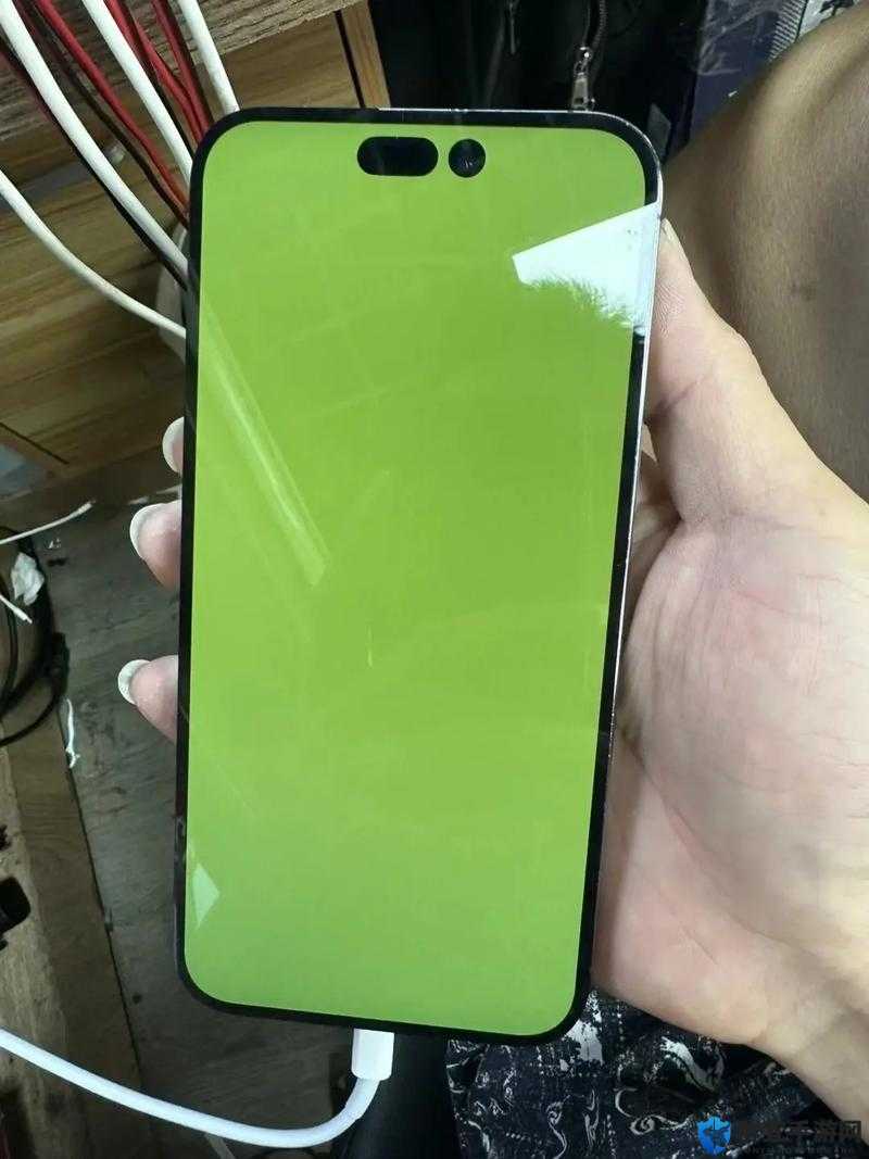 光明记忆绿屏怎么办?绿色闪屏问题解决方法