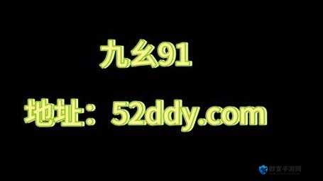 九幺黄 9·12024 年安装：一场科技与娱乐的完美邂逅