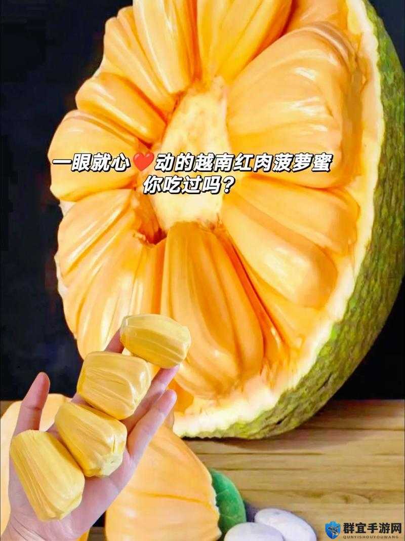 菠萝菠萝蜜免费高清视频精彩呈现不容错过