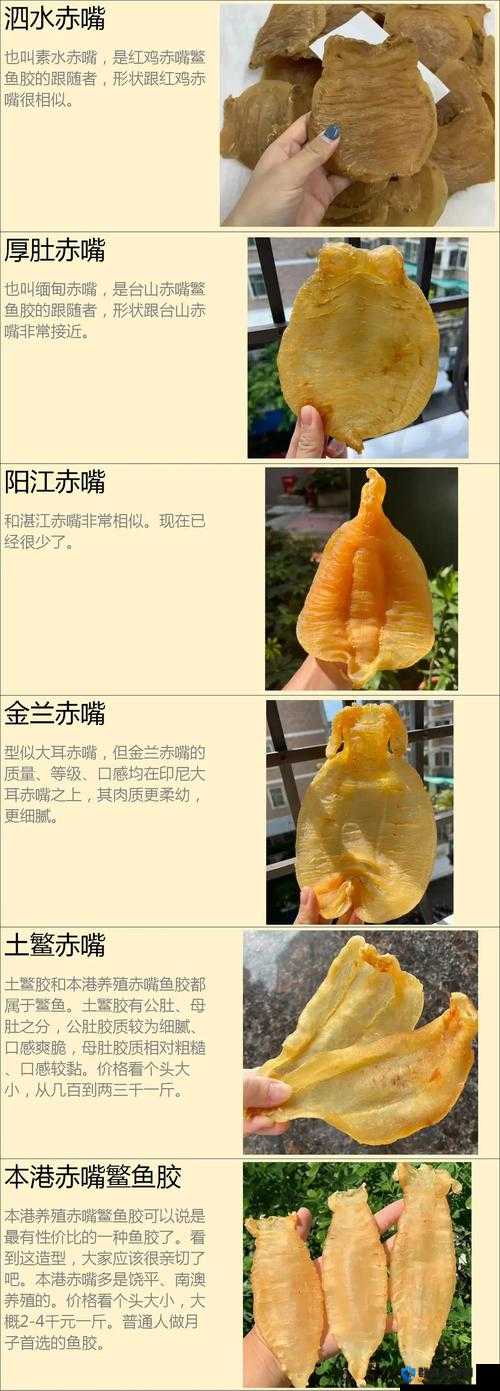动物胶配方视频大全高清:解密胶粘剂的奥秘