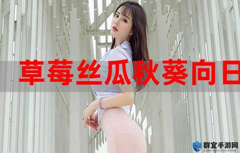 丝瓜草莓秋葵污下载旧版免费解锁版安装：畅享无限精彩，立即体验