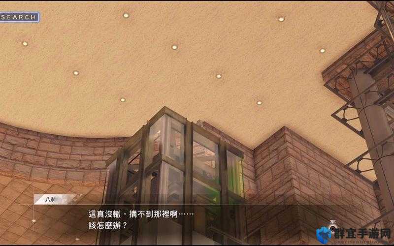 审判之眼拥有钻石眼的猫，支线任务全揭秘