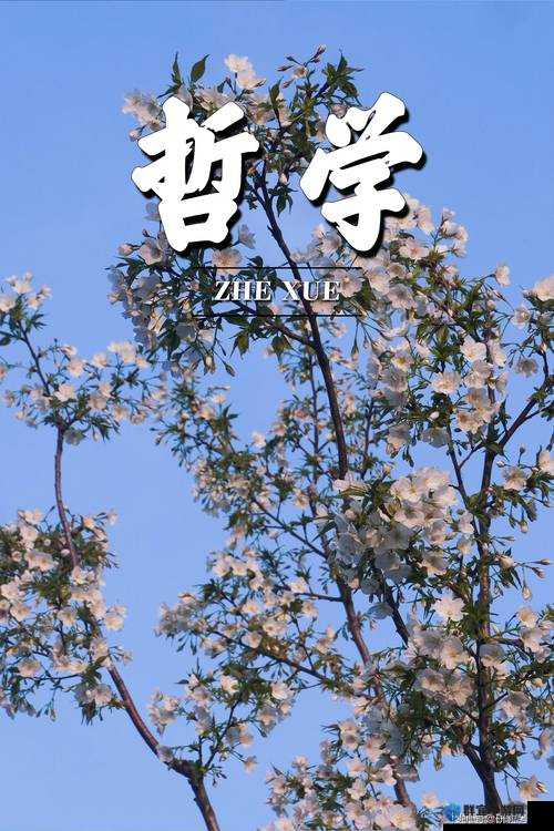 久久久久久久久久一级：揭示未知的奥秘
