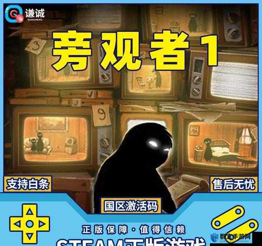 旁观者2储存卡获取渠道全揭秘