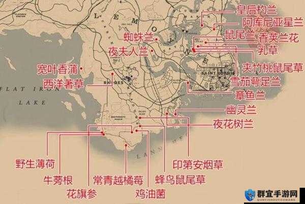 荒野大镖客2植物图鉴，全植物分布位置大揭秘