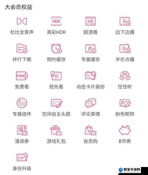 哔哩哔哩 APP 最新版：畅享精彩多元内容新体验