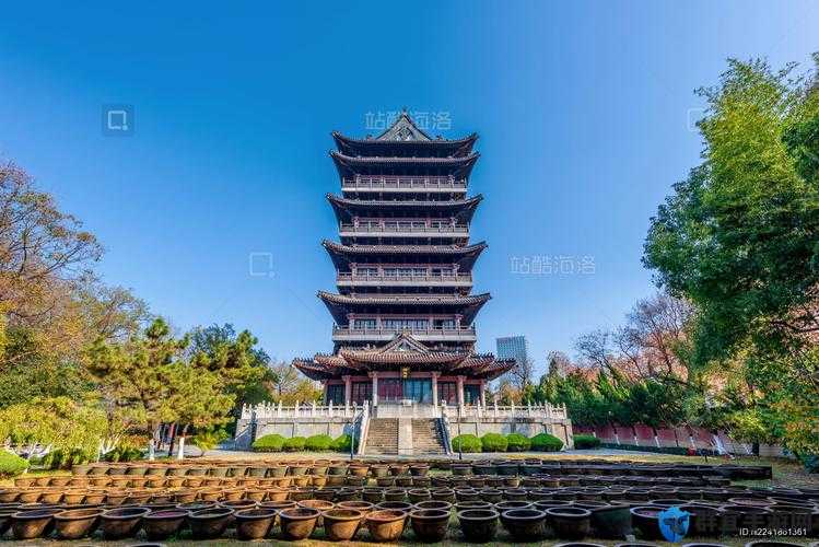 清风阁就爱干：探索未知的奇妙世界