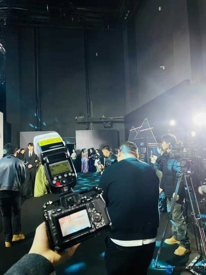 大象影视传媒制作公司：打造优质影视作品的专业团队