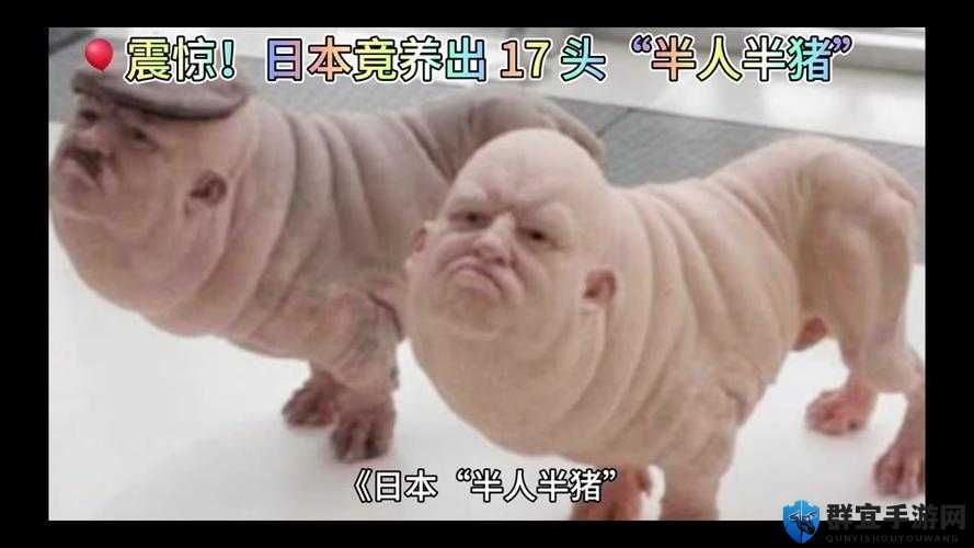人与猪 fzzo：一段超乎想象的奇异故事即将展开