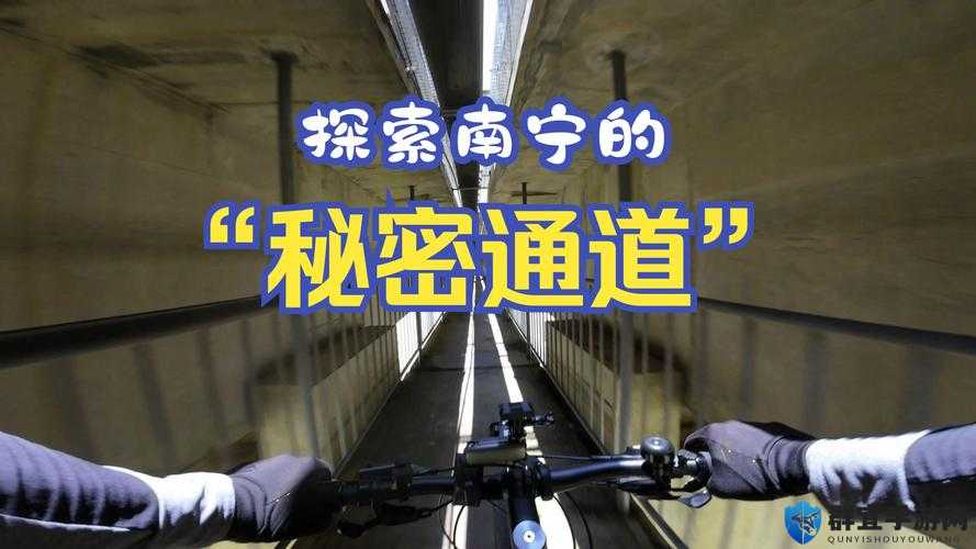 伊甸院永久秘蜜通道 C：揭秘神秘通道背后的故事