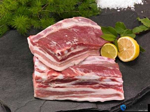 付先生 1VLH 一块五花肉：口感绝佳的美食之选