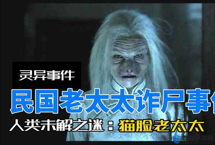 老太太 VPSWINDOWS45 背后不为人知的故事
