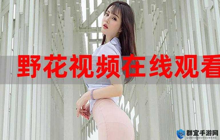 野花在线观看免费观看大全：丰富多样的影视资源随心畅享
