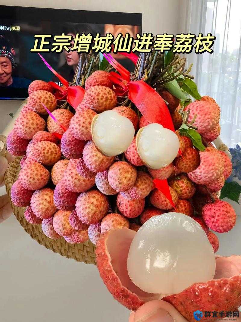 荔枝视频在线观看播放，享受精彩视频盛宴