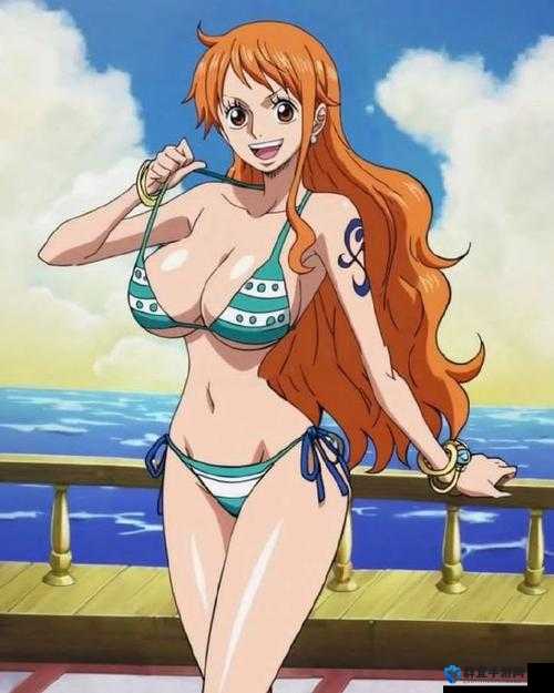 娜美：波涛汹涌的航海冒险