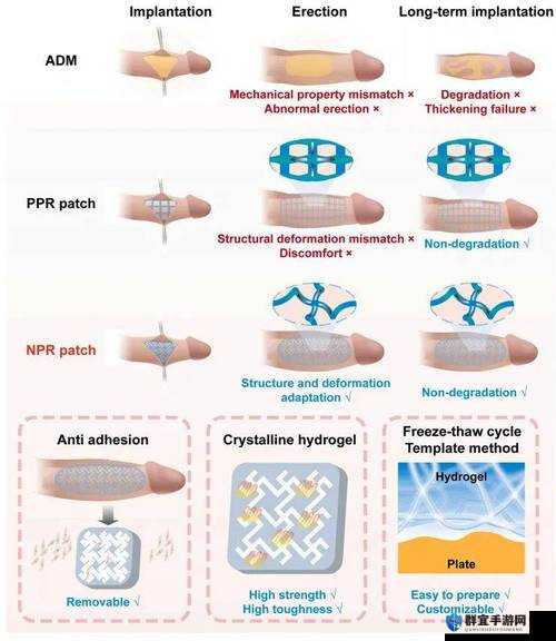 让小兄弟变大变长的方法：科学探讨与注意事项