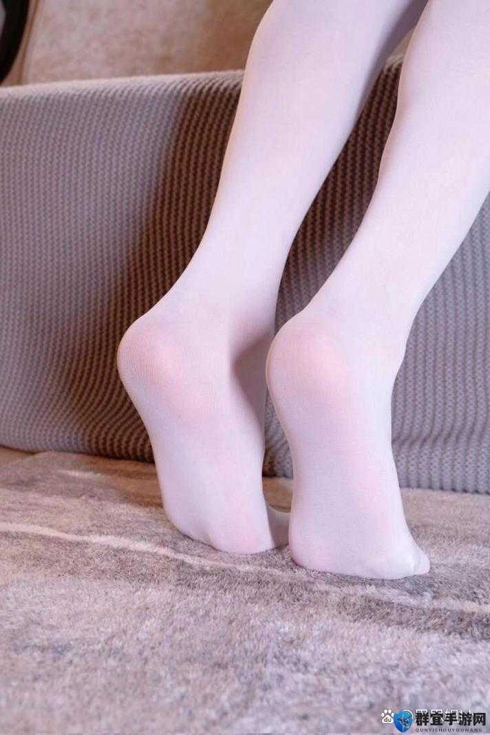 白丝小仙女 91 在线：纯洁与诱惑的交织