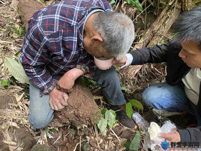 公园里的老年镖客视频大全停播了：背后原因引发众人好奇