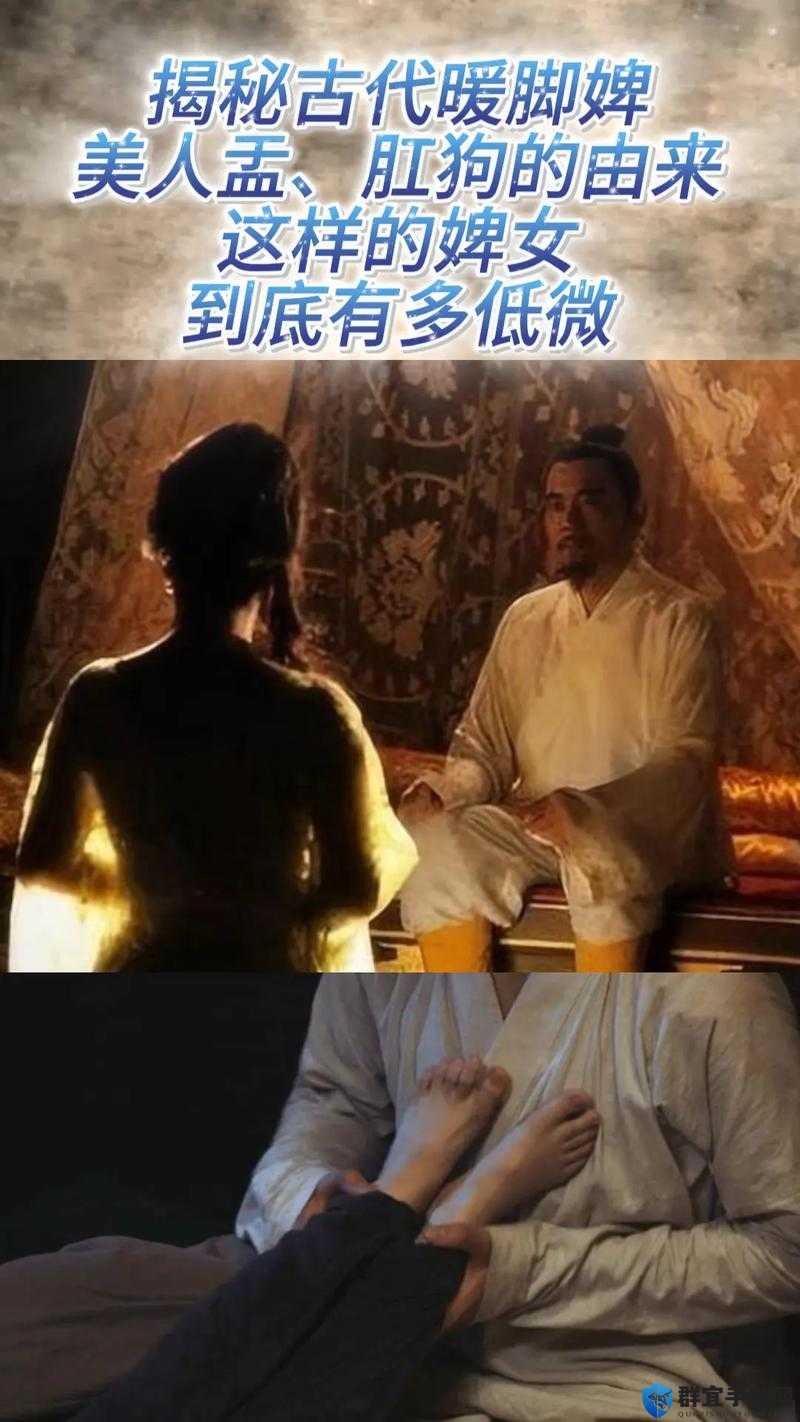 侯府婢是 1v2 吗：探寻古代侯府婢女情感纠葛真相
