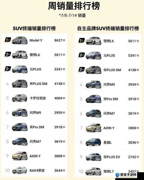 497799 欧洲版国产 SUV 性能如何：全面解析与评价