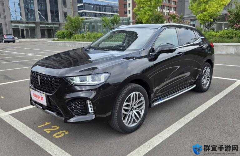 weyvv5 国产的 suv 视频：展现卓越性能与独特魅力