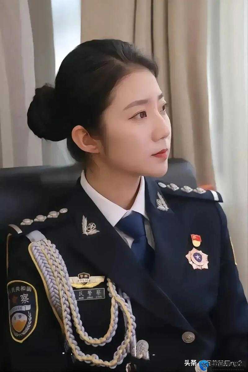 张警官 9 分钟视频：深入剖析案件背后的真相与启示