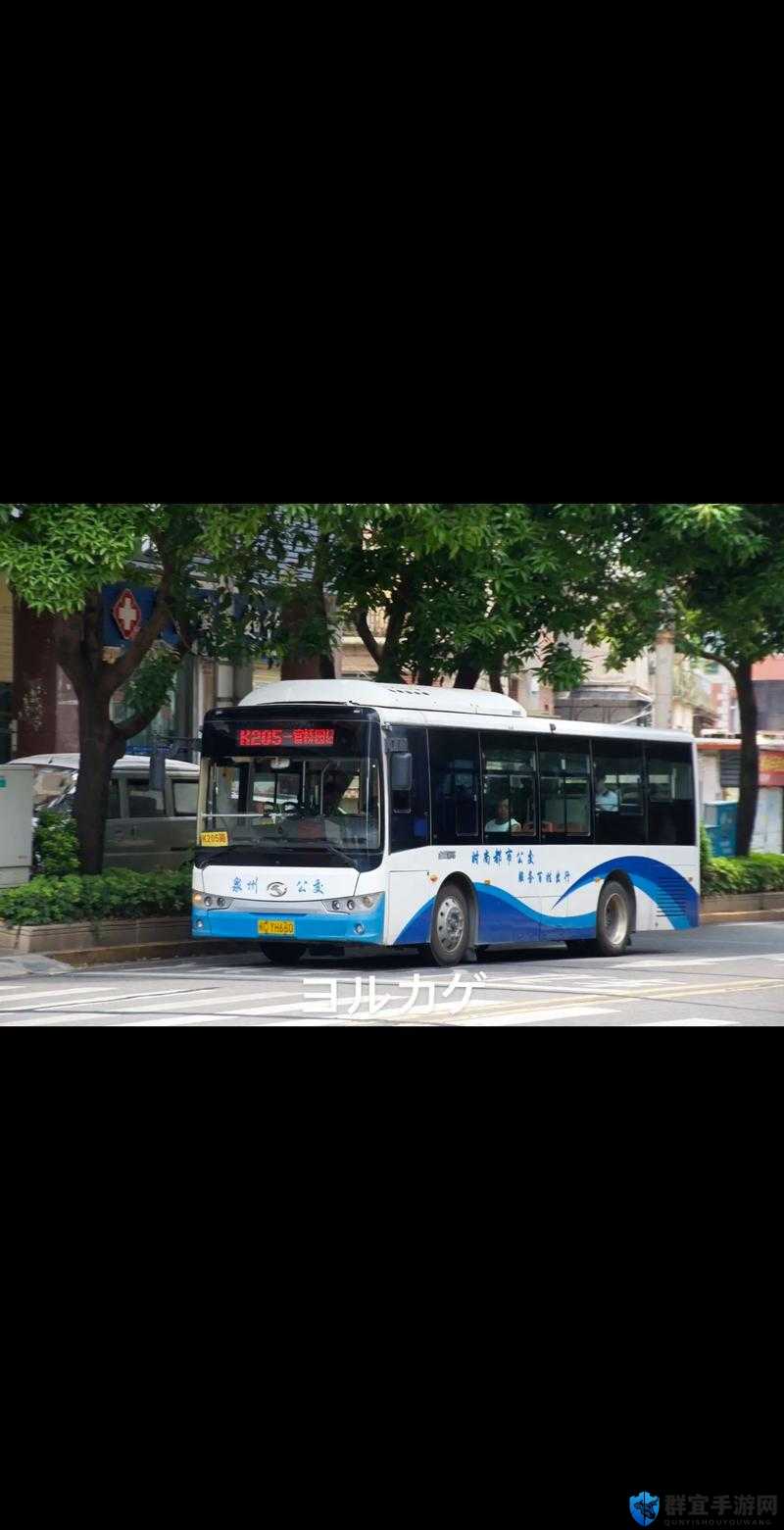 yinluan 小镇公交车:长约 12 米,宽约 2.5 米