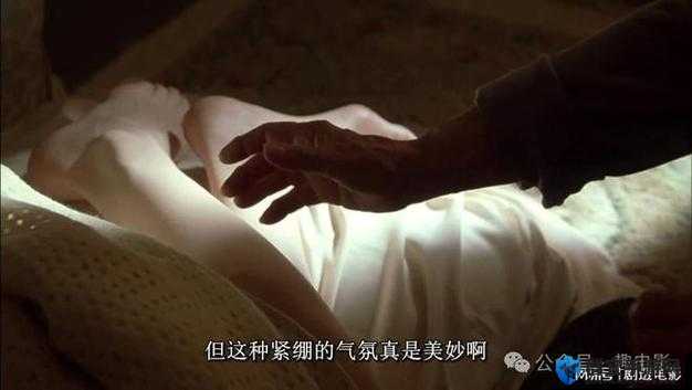 㓜交videos 老少配一区二区：超越年龄的禁忌之恋